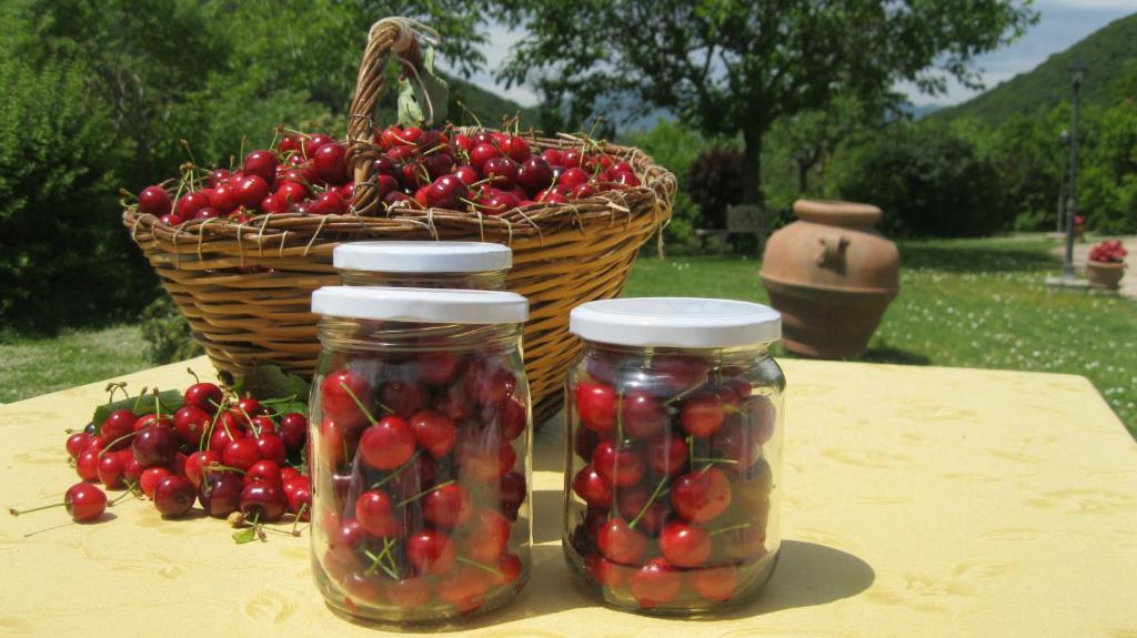 Locanda Salimbeni A San Severino Marche Benvenuti